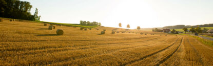 Landschaft