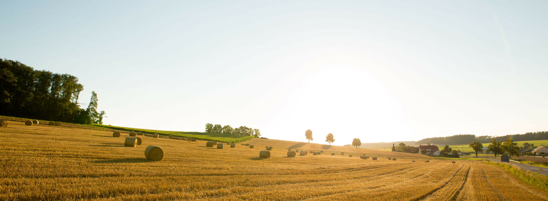 Auf diesem Bild sieht man ein großes Feld mit vielen Heuballen und die strahlende Sonne im Hintergrund.